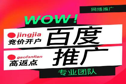 百度广告推广案例：优化广告投放策略